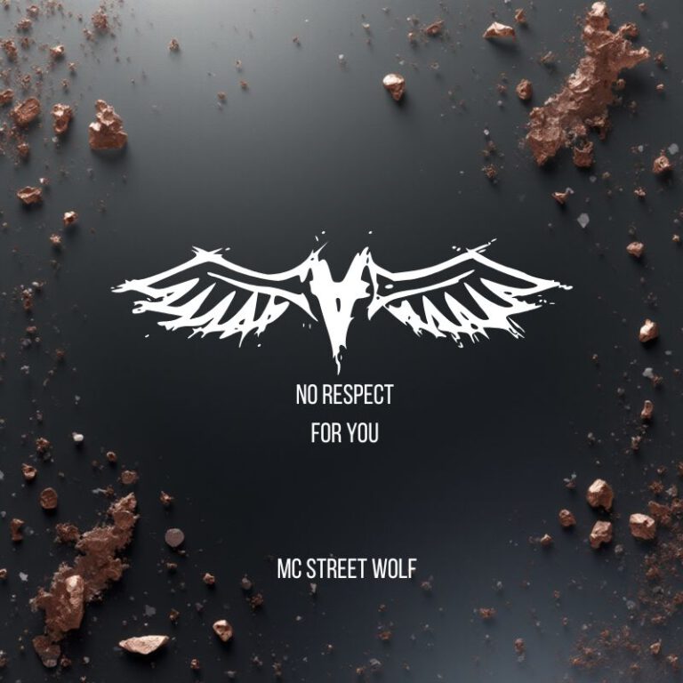 No Respect for You – MC Streetwolf
